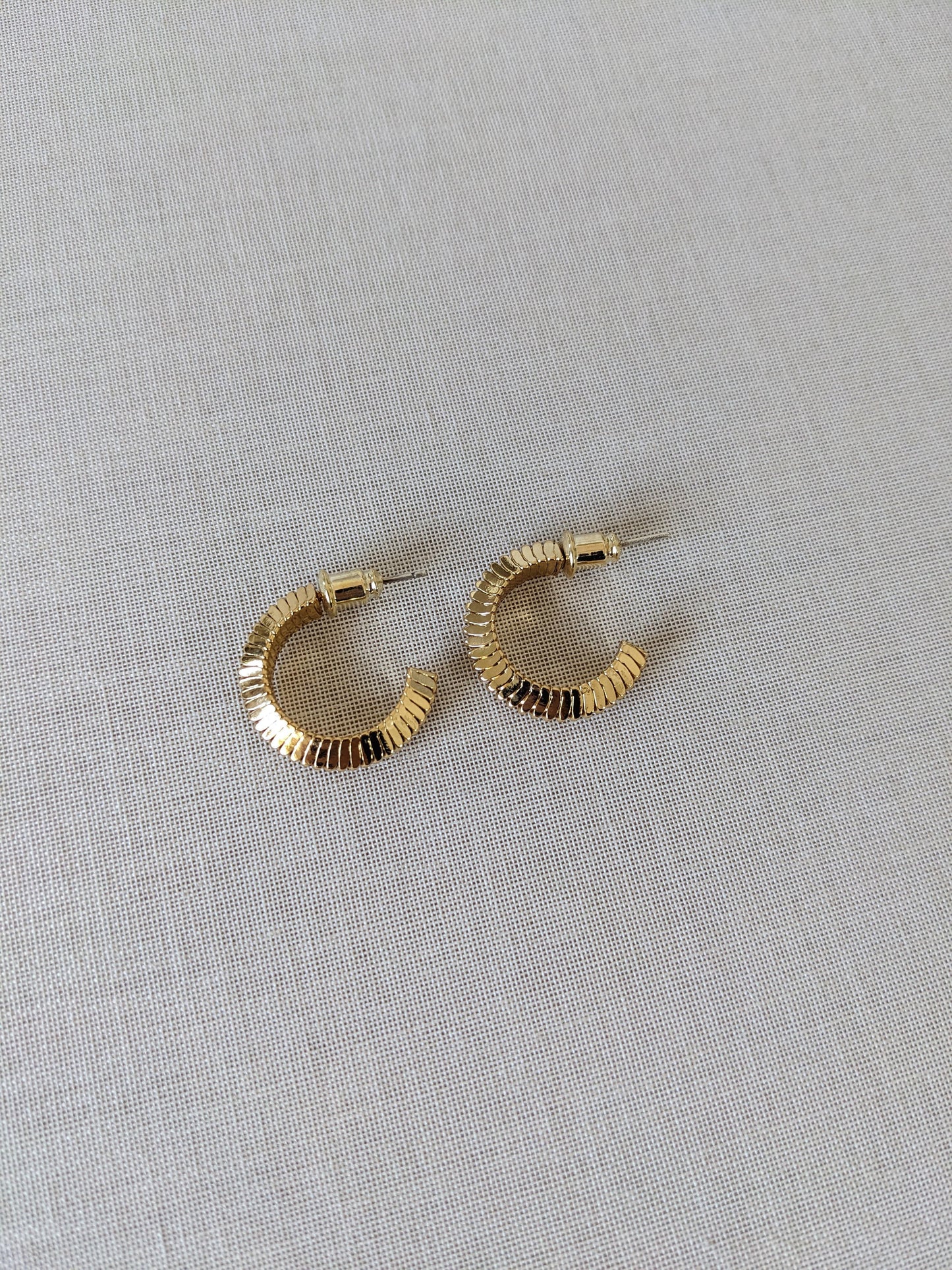 Vida Textured Hoop Luxe Earrings