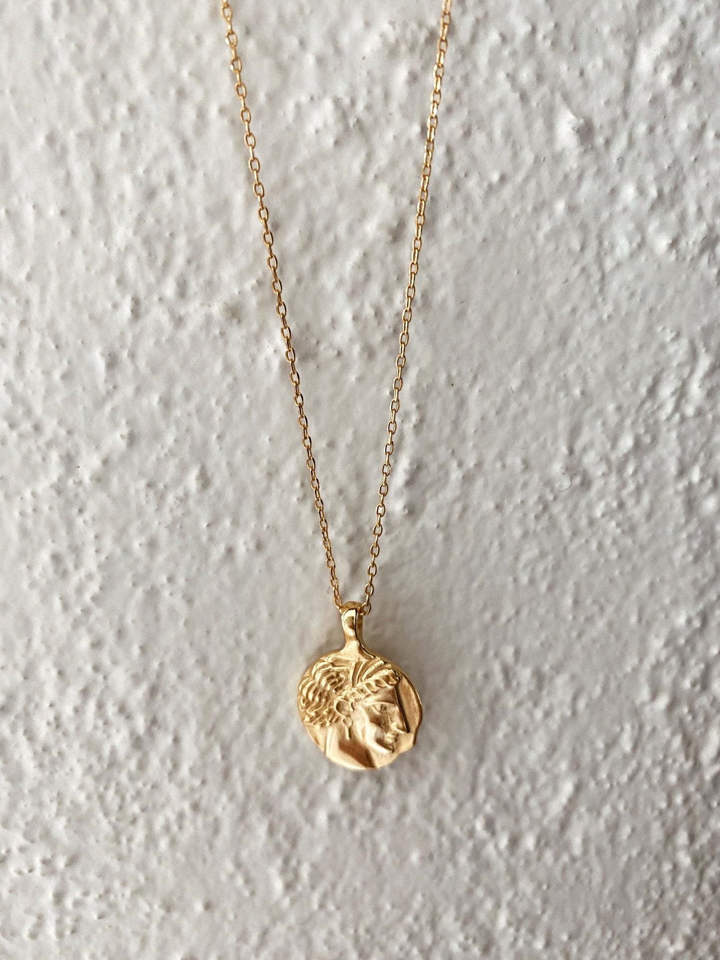 Spartan Coin Necklace