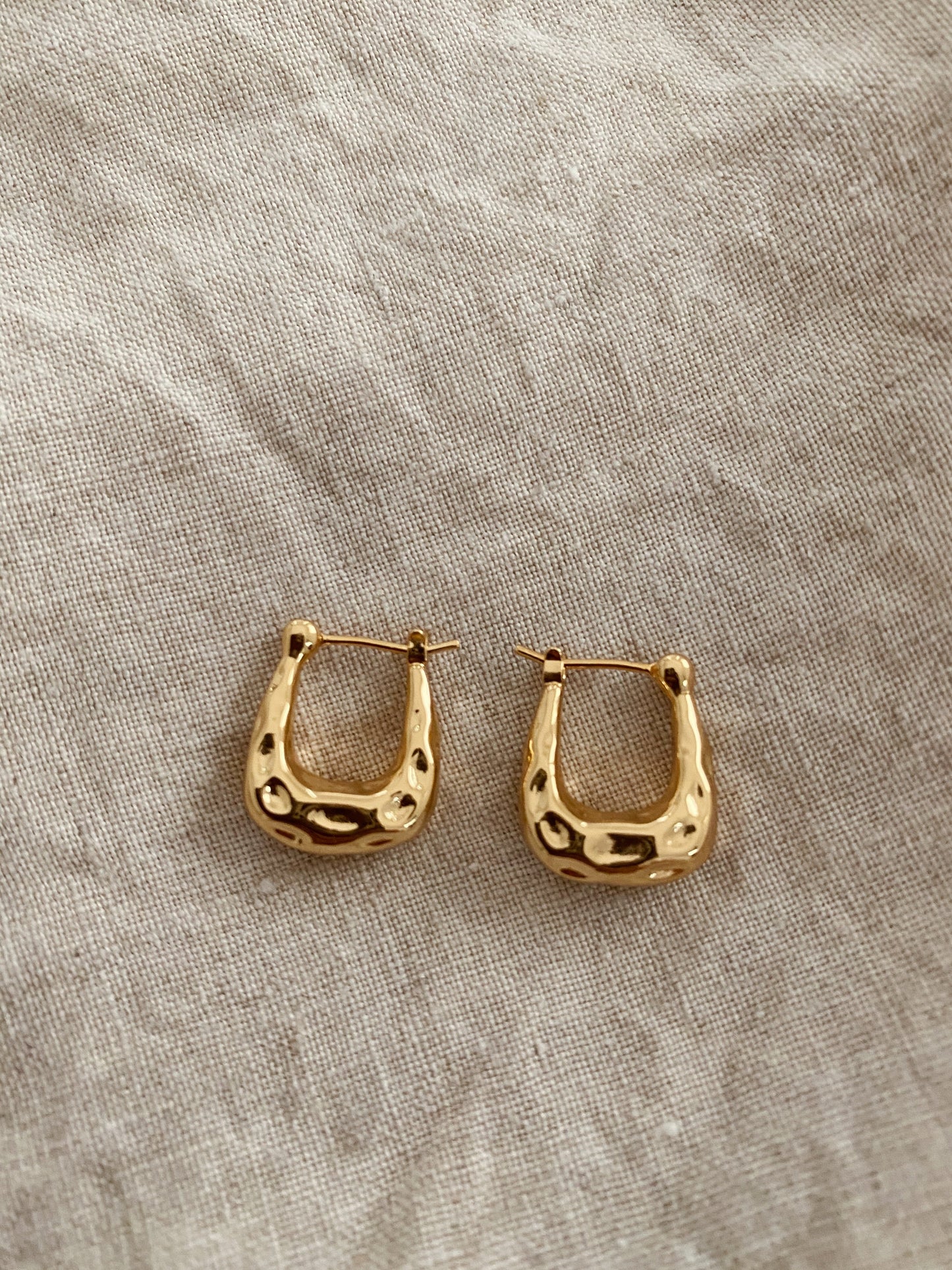 Jordan Hoop Luxe Earrings