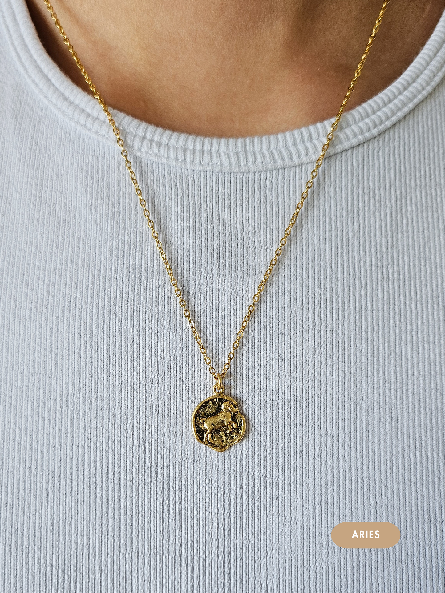 Mini Disc Zodiac Necklace