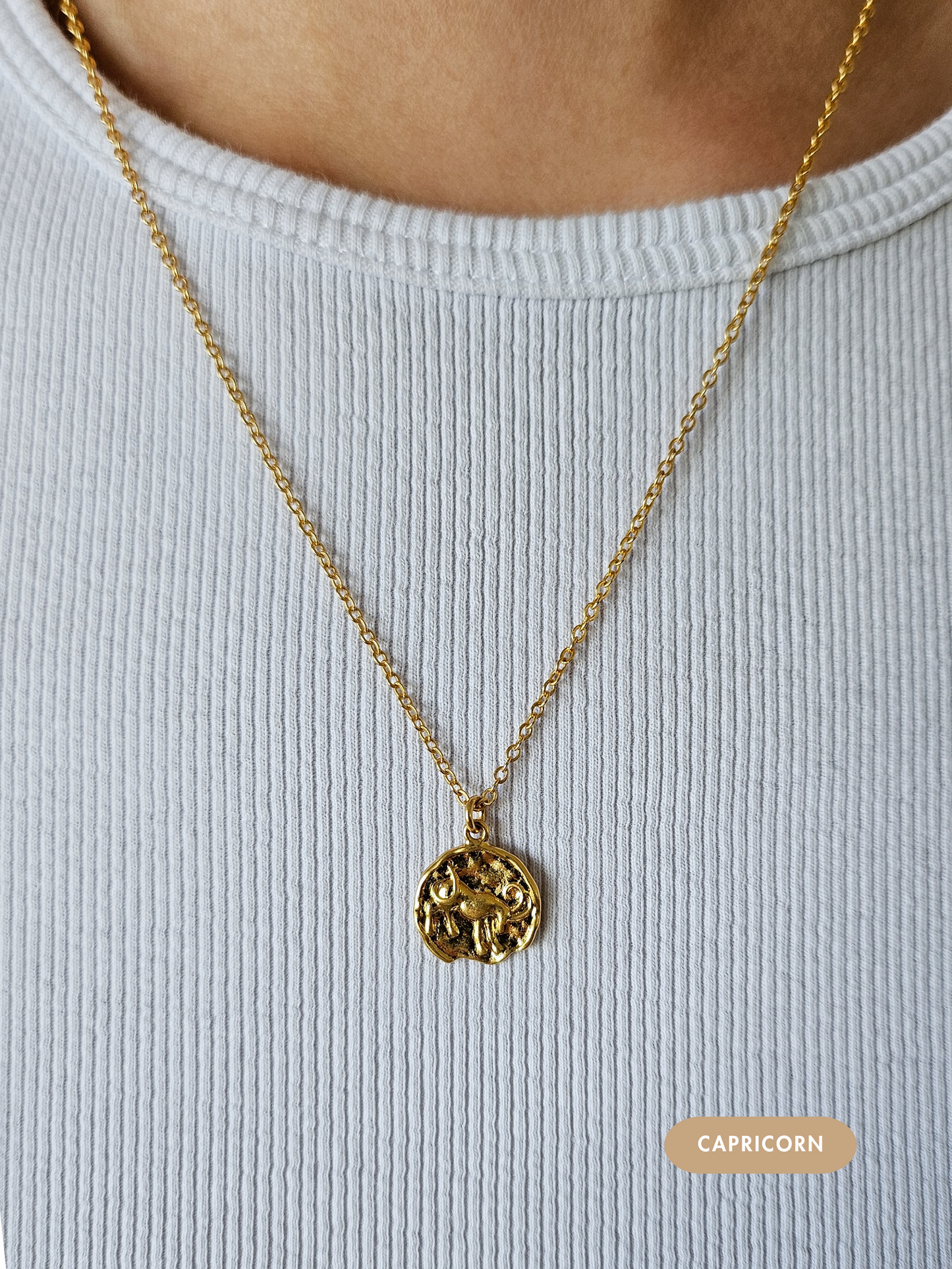 Mini Disc Zodiac Necklace