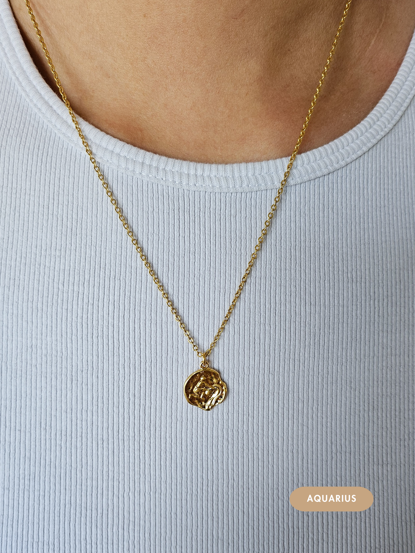 Mini Disc Zodiac Necklace