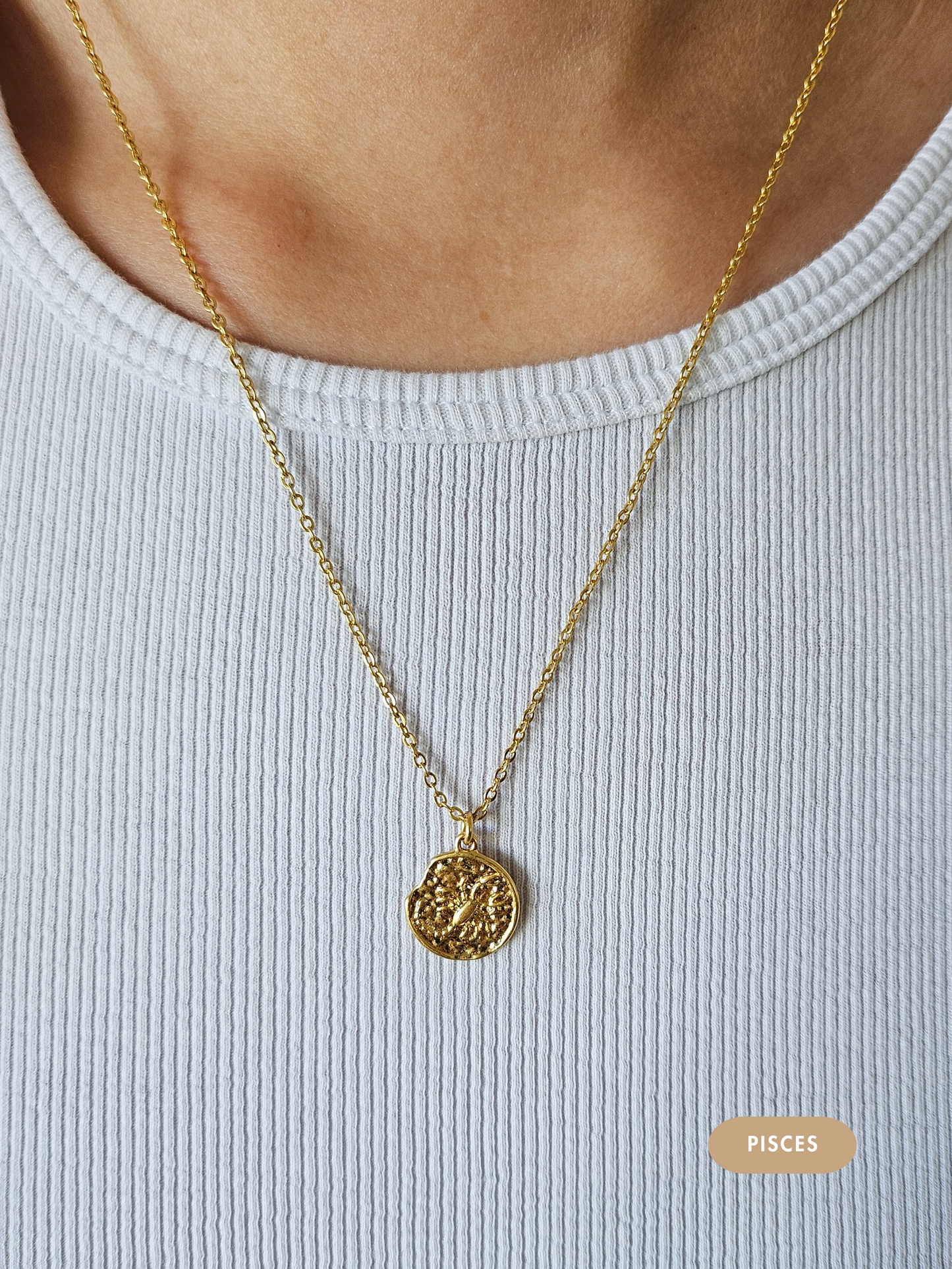 Mini Disc Zodiac Necklace