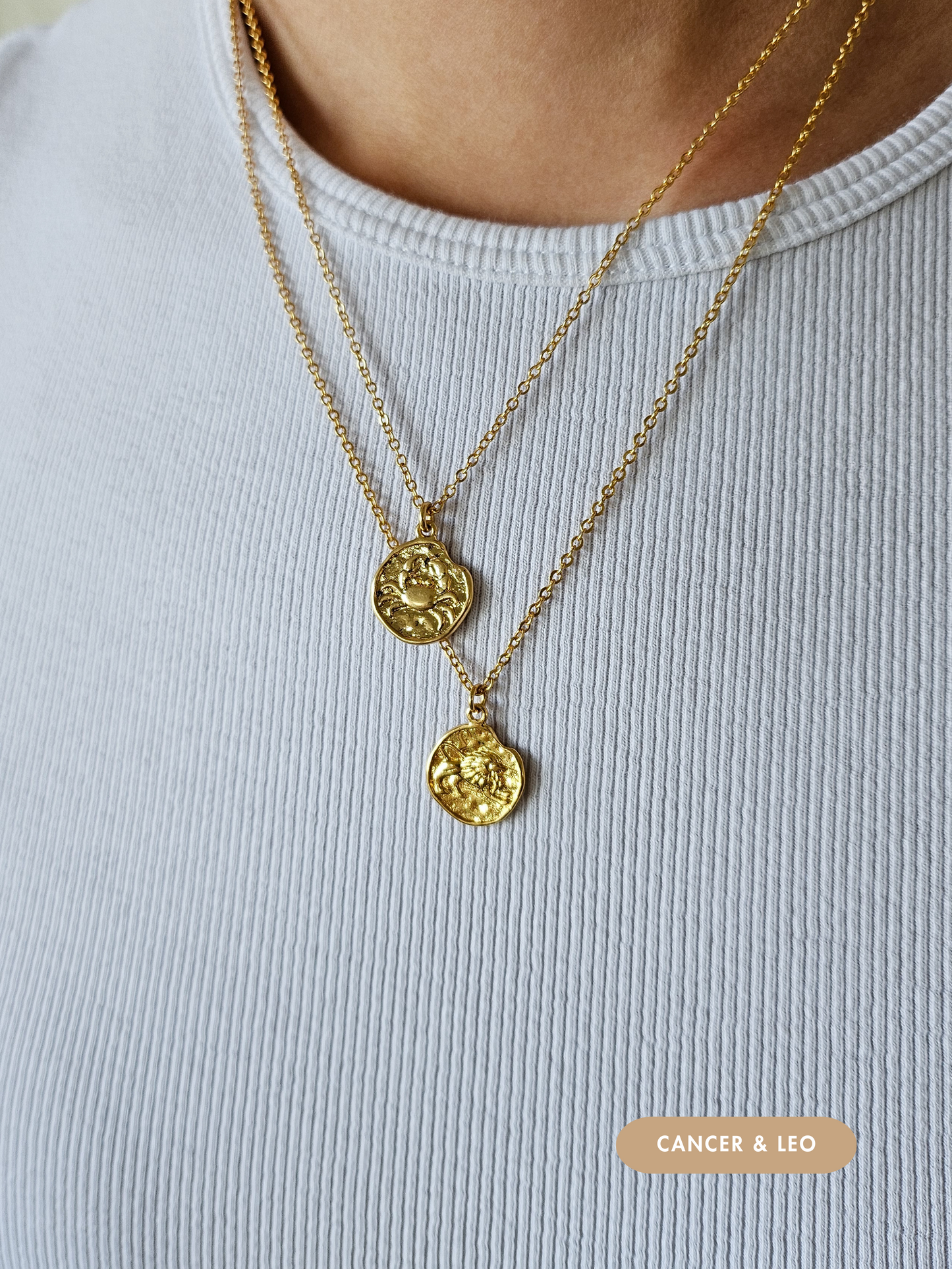 Mini Disc Zodiac Necklace