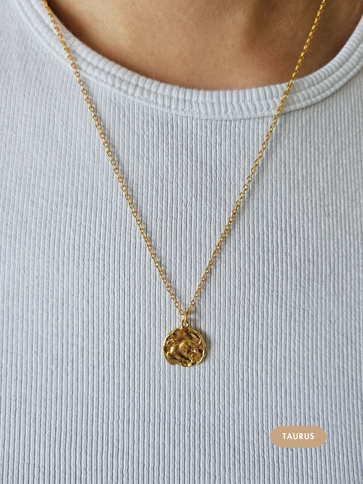 Mini Disc Zodiac Necklace