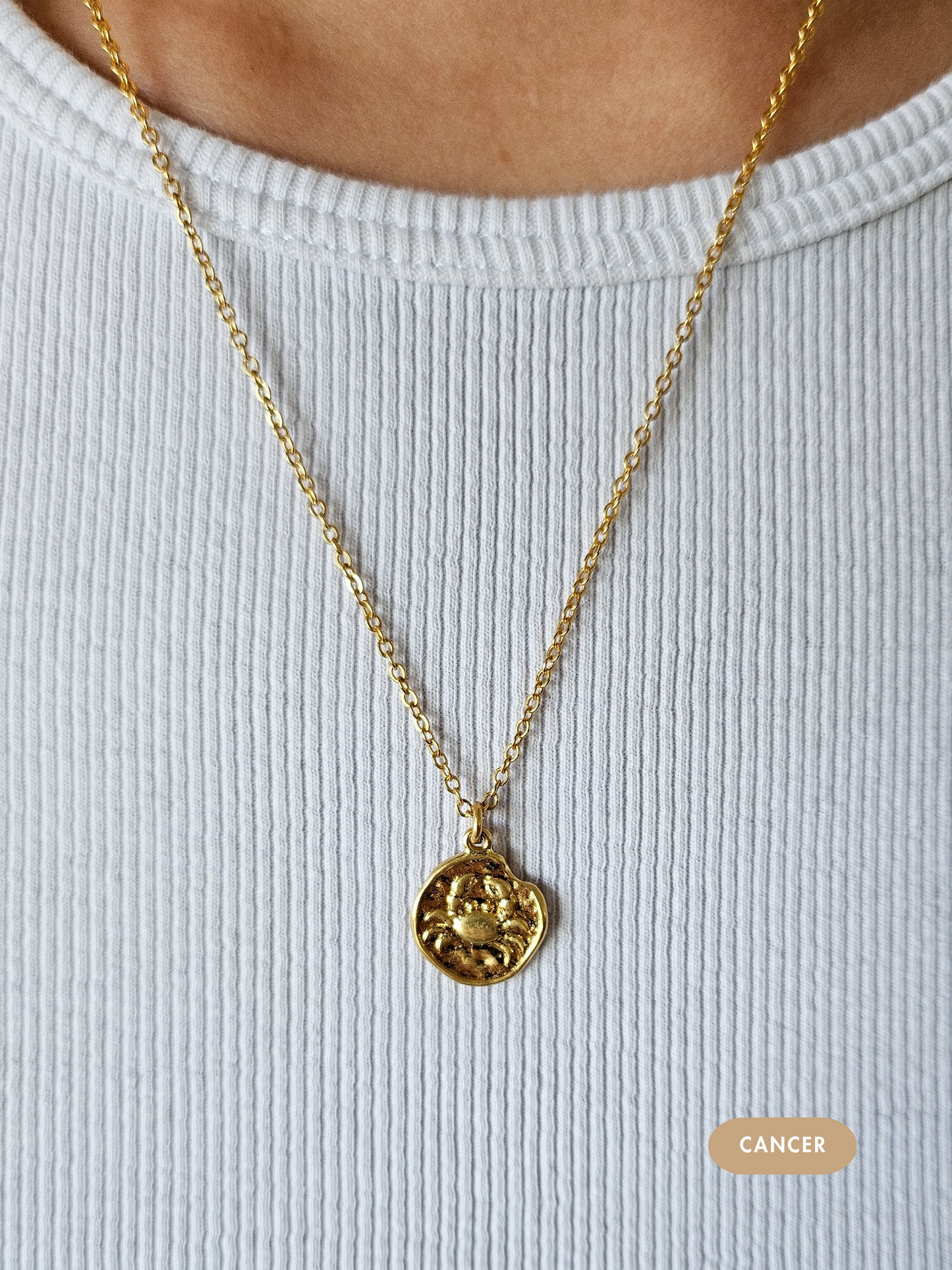 Mini Disc Zodiac Necklace