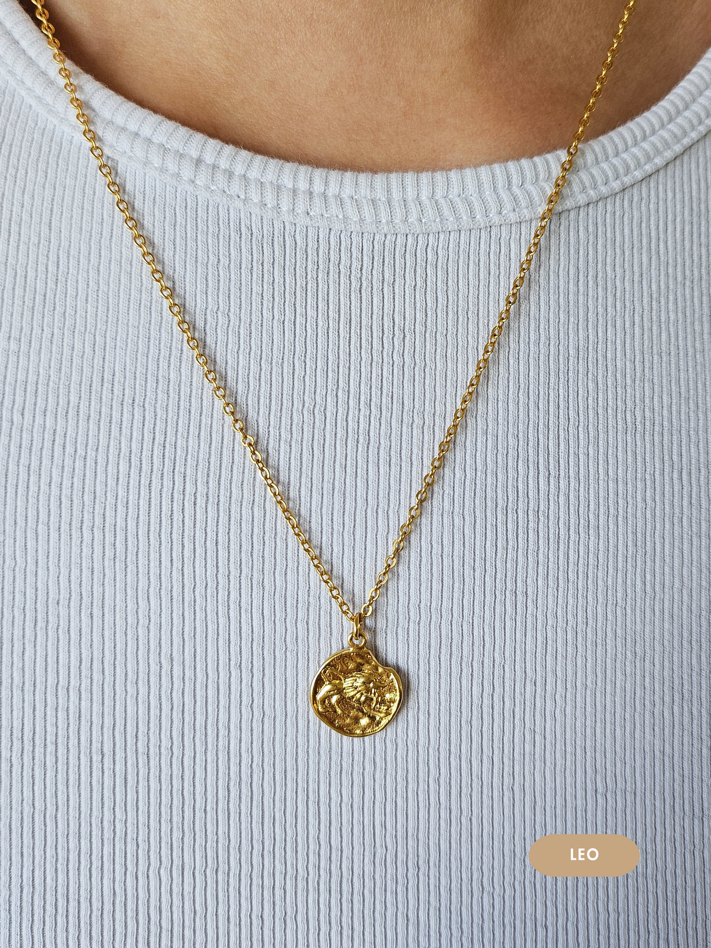 Mini Disc Zodiac Necklace