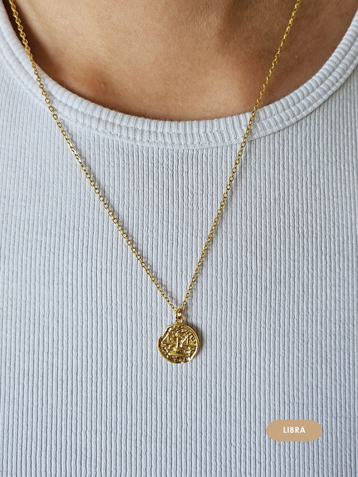 Mini Disc Zodiac Necklace