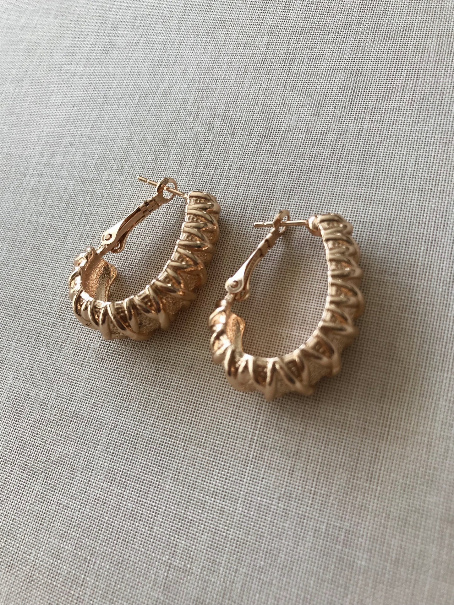 Dominique Textured Hoop Earrings