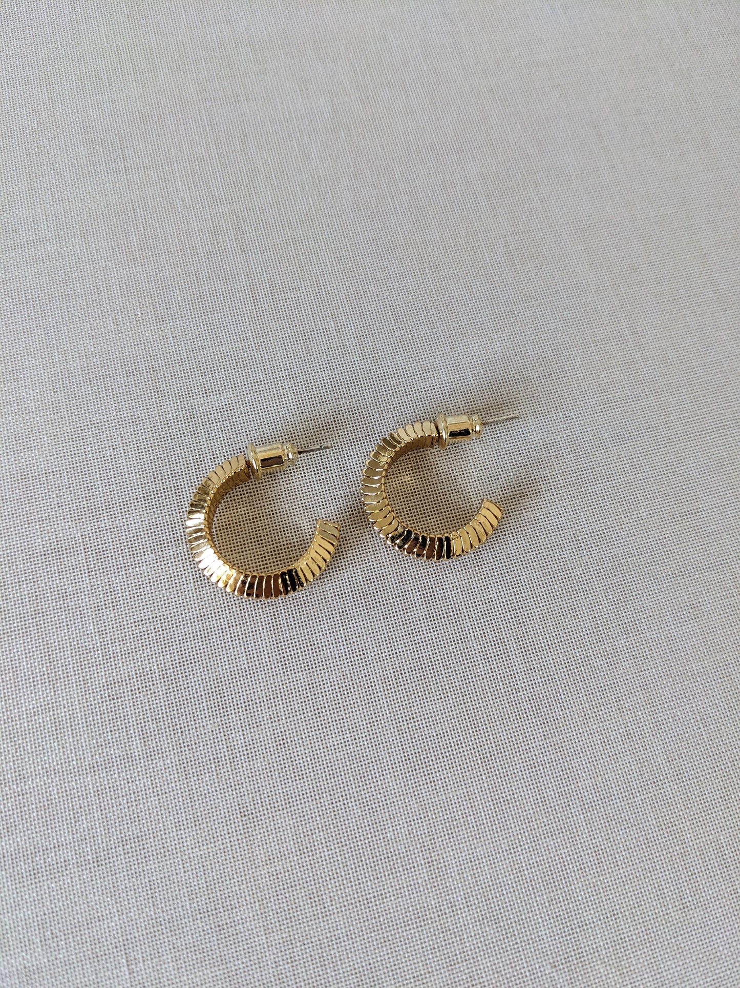 Vida Textured Hoop Luxe Earrings